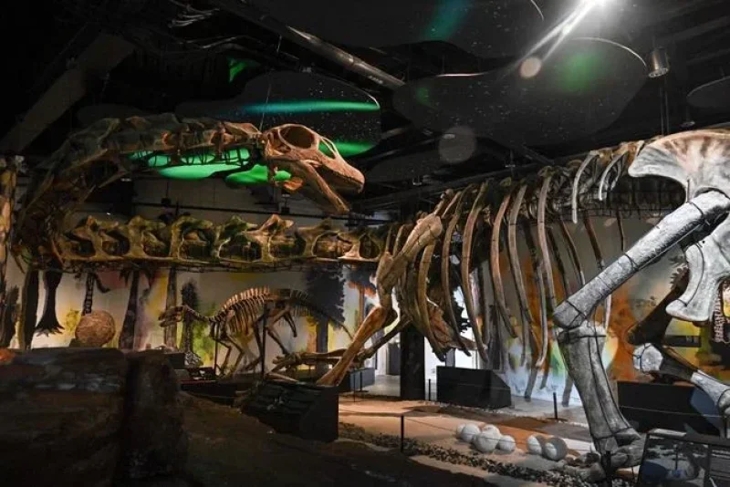 Scientific Reports: scoperto in Thailandia “l’ultimo titano”, un dinosauro gigante