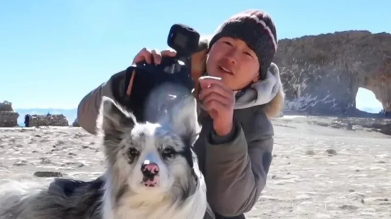 Chutou, il cane star della Cina rubato e ucciso: finisce cucinato in un ristorante